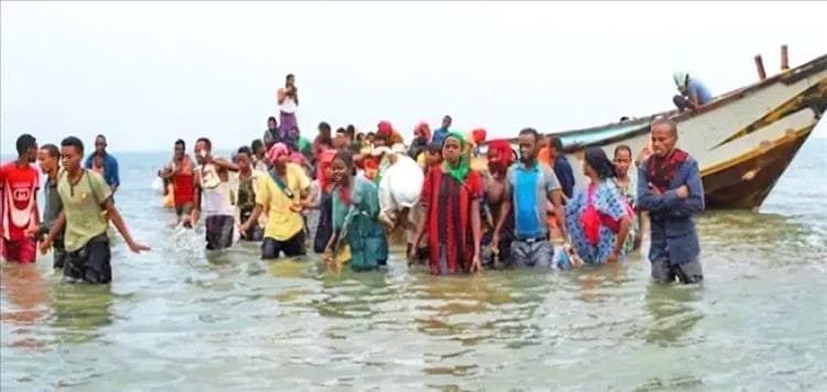 وصول 620 مهاجرًا أفريقيًا إلى سواحل شبوة