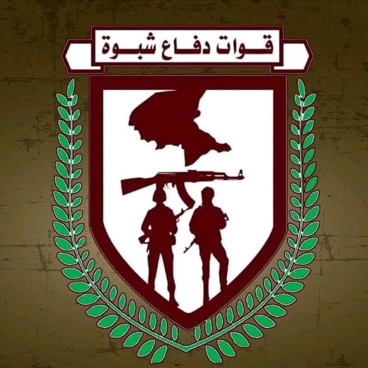 قوات دفاع شبوة تُسقط طائرة حــ,ـوثية مسيّرة أثناء مهمة عدائية