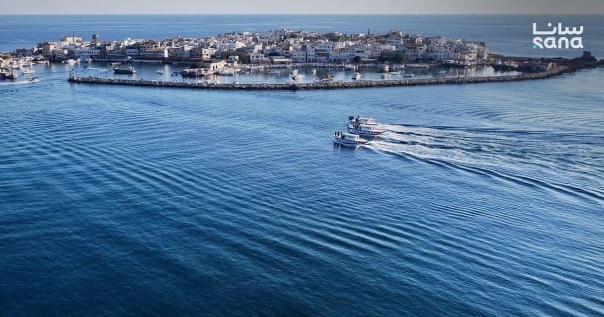 شركة الاتصالات السورية تعلن تعرض كابل بحري لعمل تخريبي في سوريا