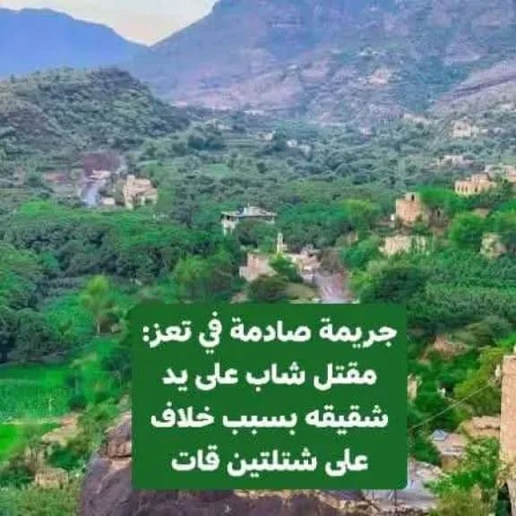 شقيق يقتل أخاه في تعز على خلفية خلاف حول شتلتين من القات