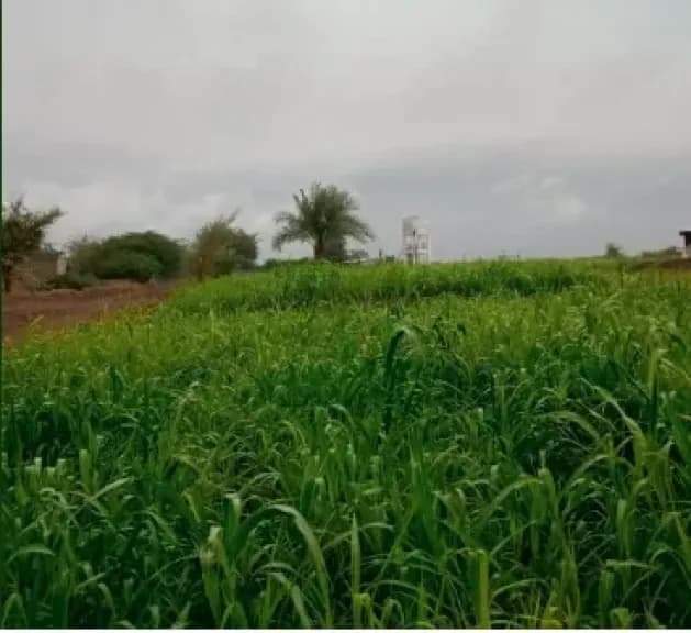 فلكي يفجر مفاجأة: غداً يوم أسود لهذه المحافظات اليمنية (أمطار وسيول لا تتوقعها)