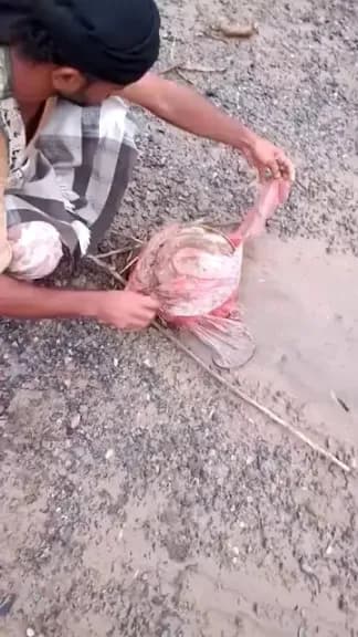 جريمة حوثية جديدة.. وضع ألغام في أكياس بلاستيكية ورميها في مجاري السيول لنقلها إلى المناطق المحررة (فيديو)