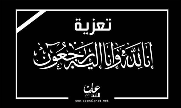 العميد أحمد علي الدماني يعزي القائد العام لقوات درع الوطن اللواء بسام المحضار باستشهاد ابن عمه