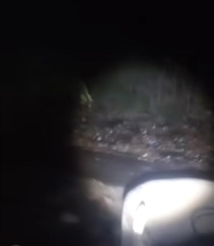 عاجل : سيول مفاجئة تتجه نحو لحج وعدن… وتحذيرات للسكان في مسار الأودية