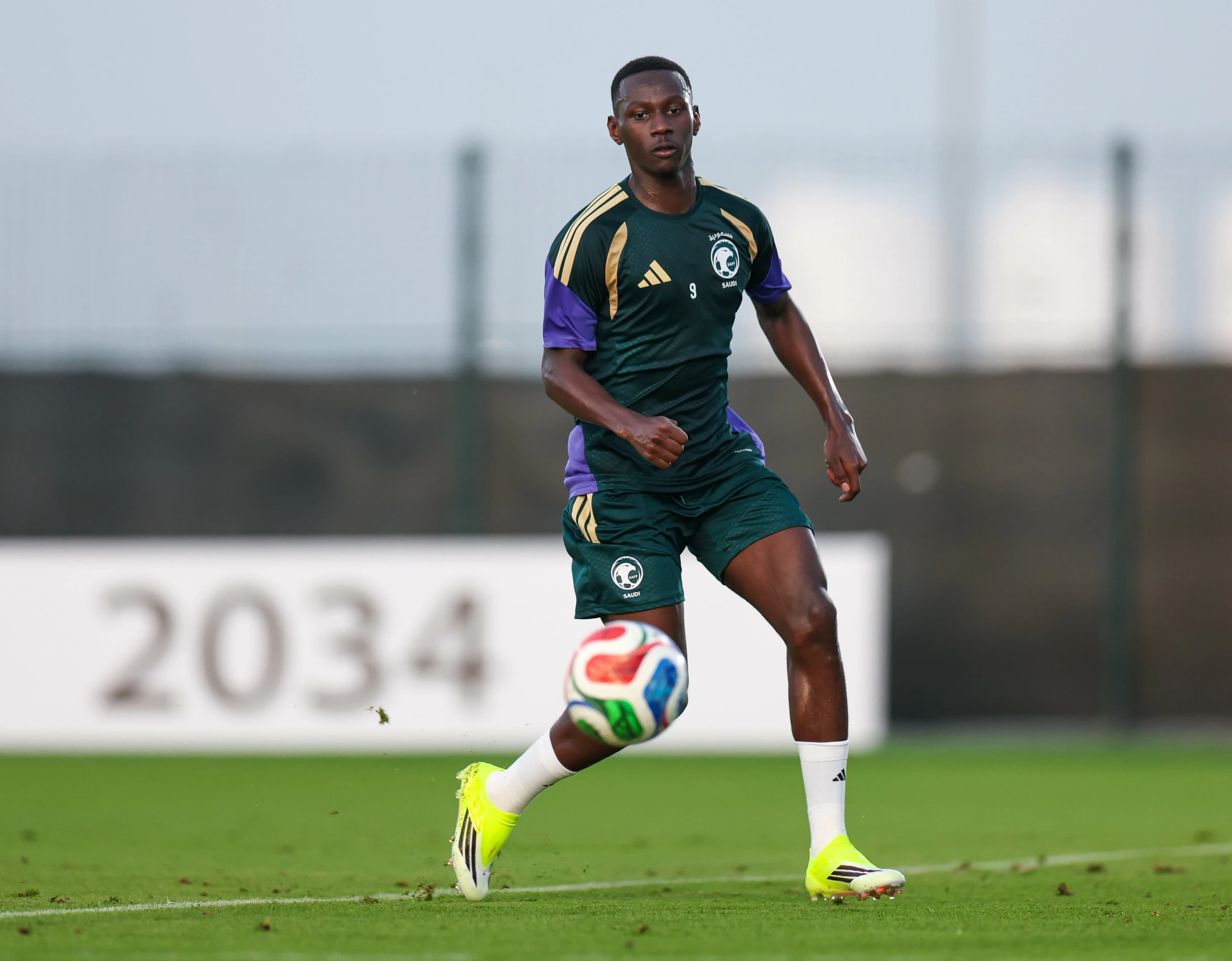 رينارد يستدعي السويلم