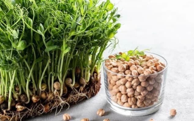 هل الحمص صديق القلب أم عدو الرجيم؟