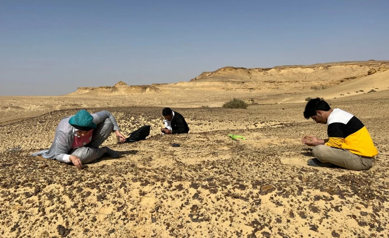 مصر: اكتشاف نوع جديد من أسلاف القردة العليا يعيد رسم خريطة تطورها