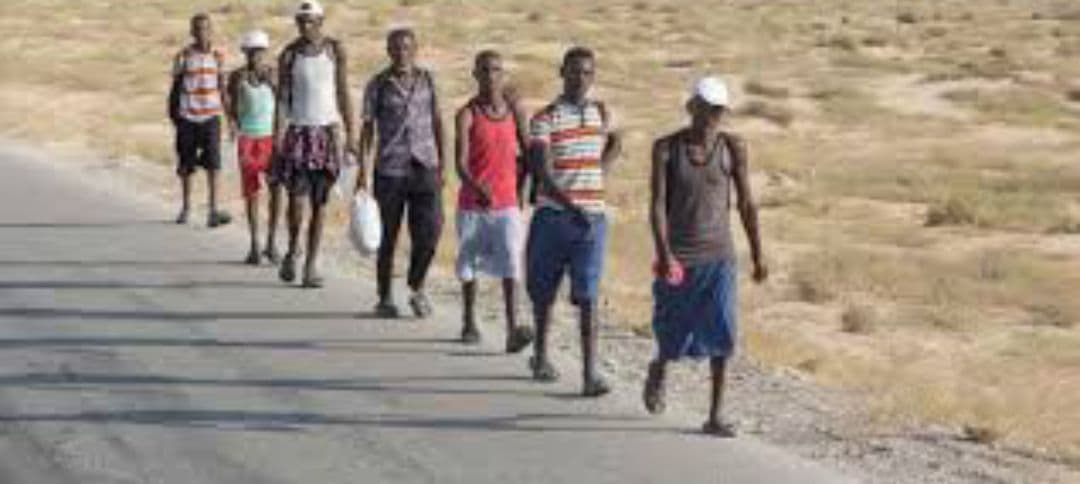 الهجرة الدولية: أكثر من 19 ألف مهاجر أفريقي وصلوا إلى اليمن خلال فبراير الماضي