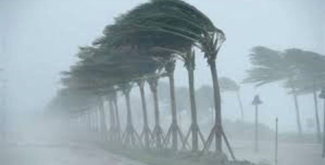 الأرصاد ت Forecast أجواء حارة ورياح نشطة وحذارات للاصطدام بالبحار